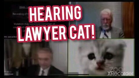 LAWYER CAT ON ZOOM HEARING!