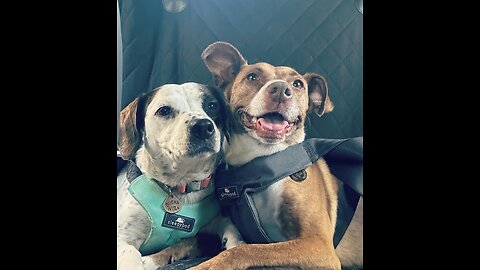 BFFs
