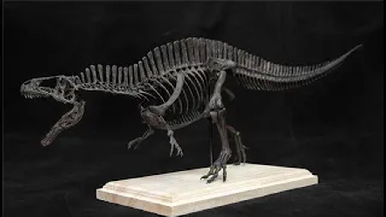 Acrocanthosaurus