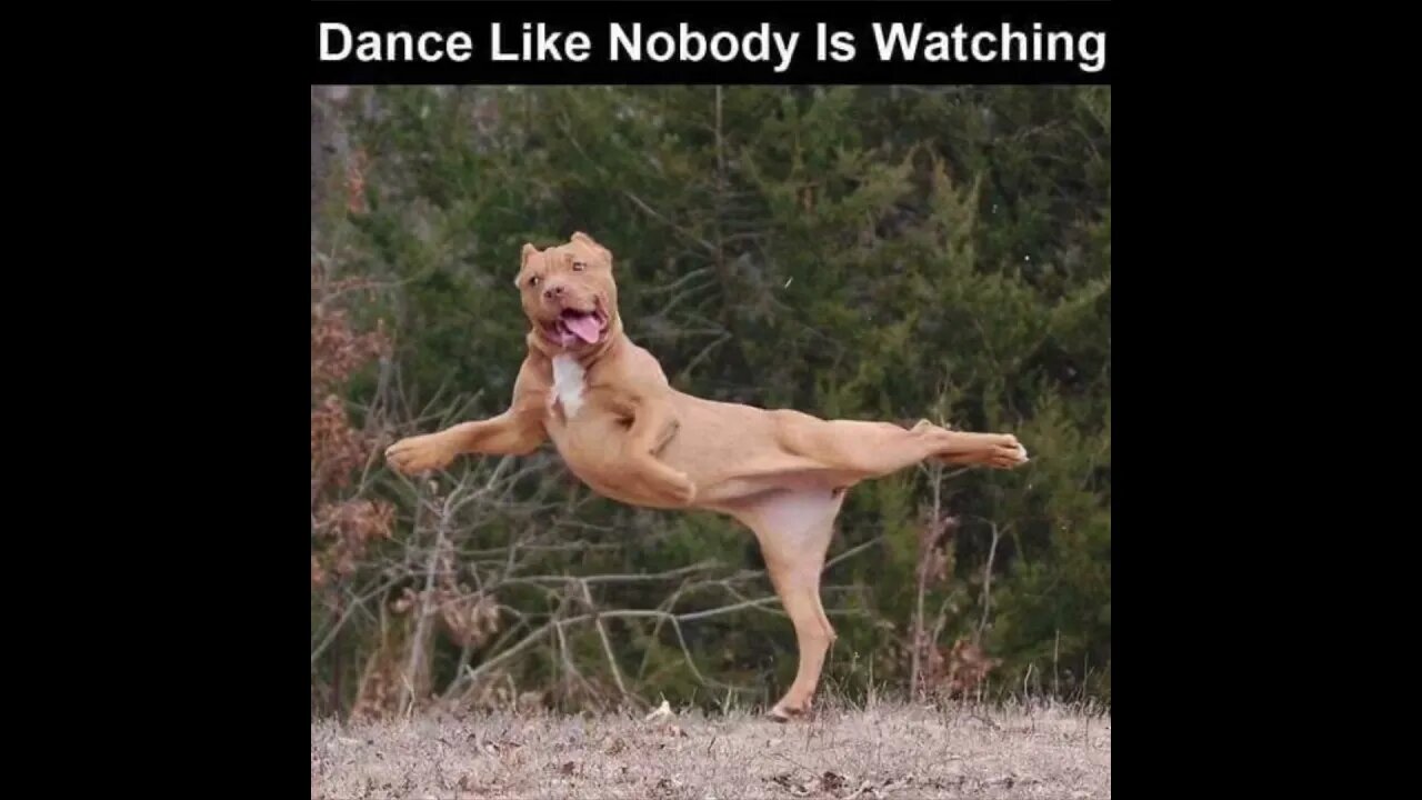 Dance Like No One Is Watching!