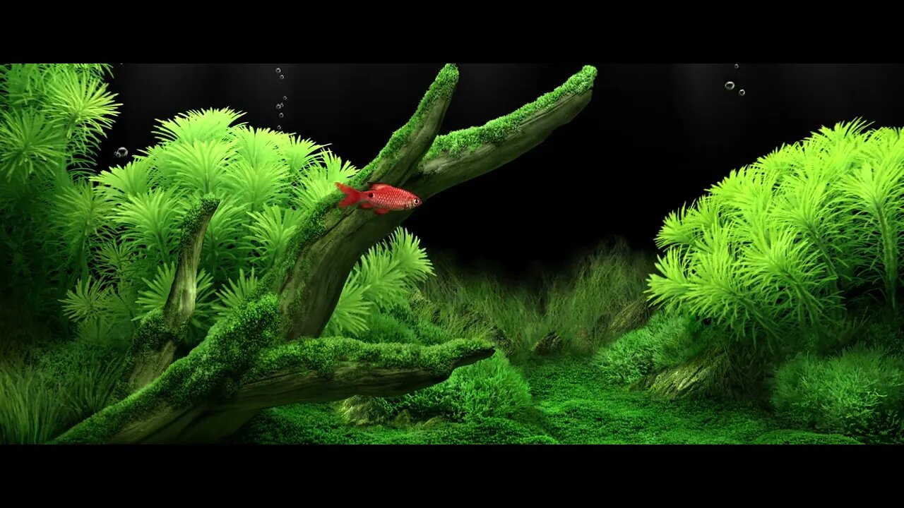 Dream Aquarium 01c