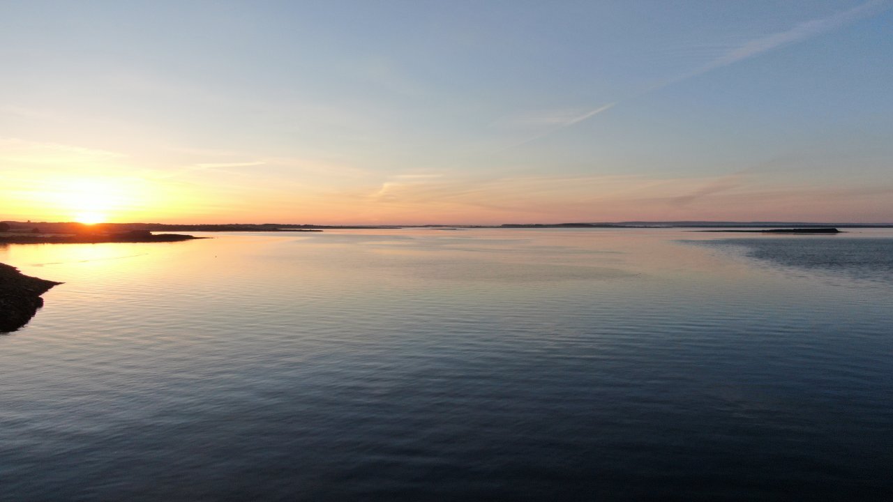 Finding Nimmo The Dolphin @ Nimmo's Pier Galway