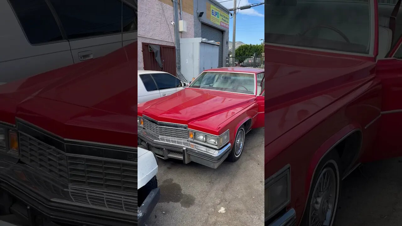 My Detail Polish Chrome People!? 79 Cadillac Coupe DeVille 🩸 #cadillac #chrome #polish