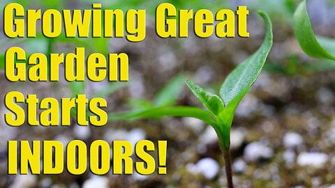 Growing Hundreds Of Garden Starts From Seed Indoors (Part 1 | Seed To Germination)