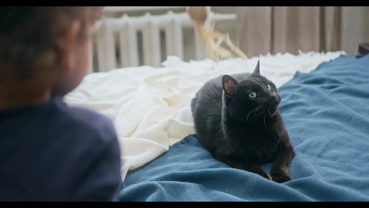 KUCING LUCU #PART 83