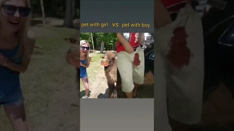 pet with girl vs pet with boy😂😂#bestmoments #memevideo