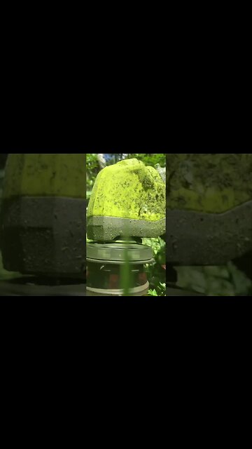 Ryobi 40v brushless whisper string trimmer weed whacker heavy use