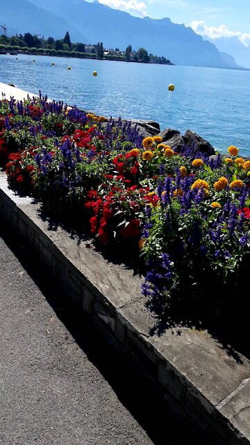 Walking in Switzerland near the lake of geneva