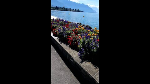 Walking in Switzerland near the lake of geneva