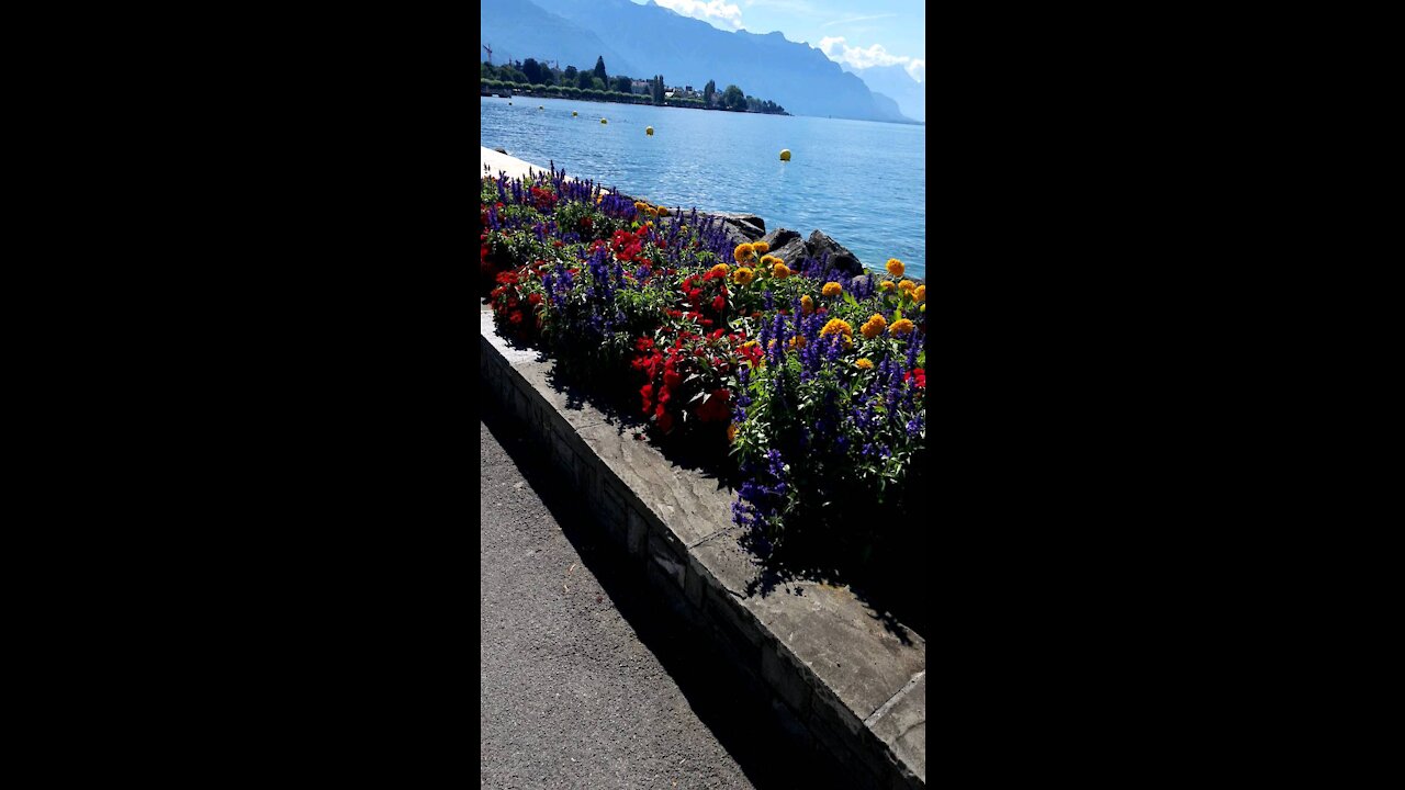 Walking in Switzerland near the lake of geneva