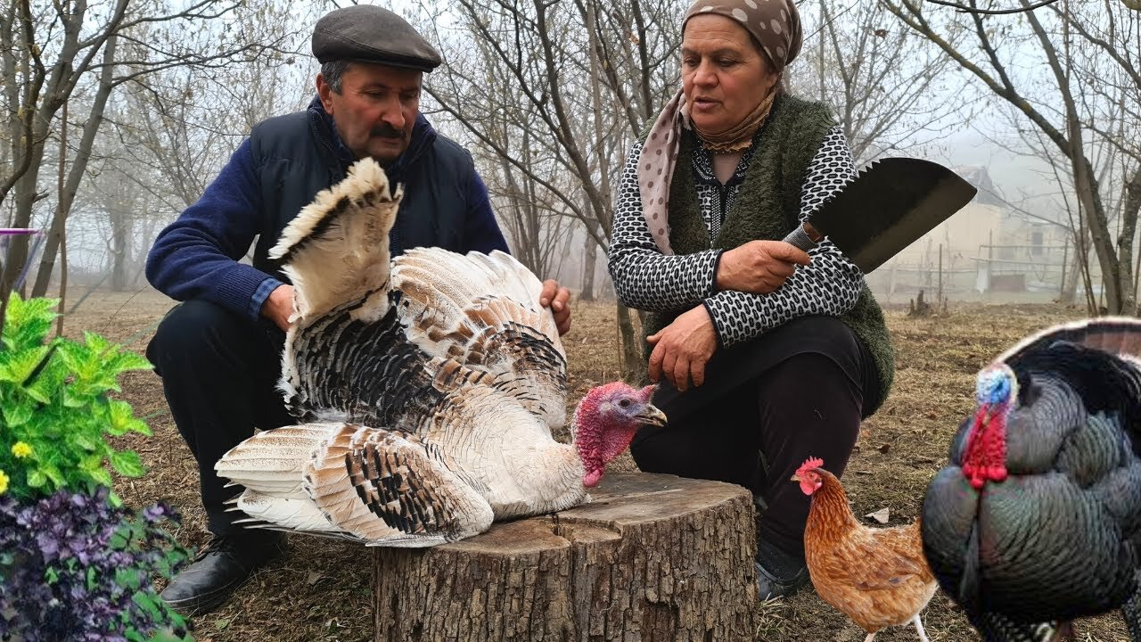 Outdoor Cooking, Cooking on Nature