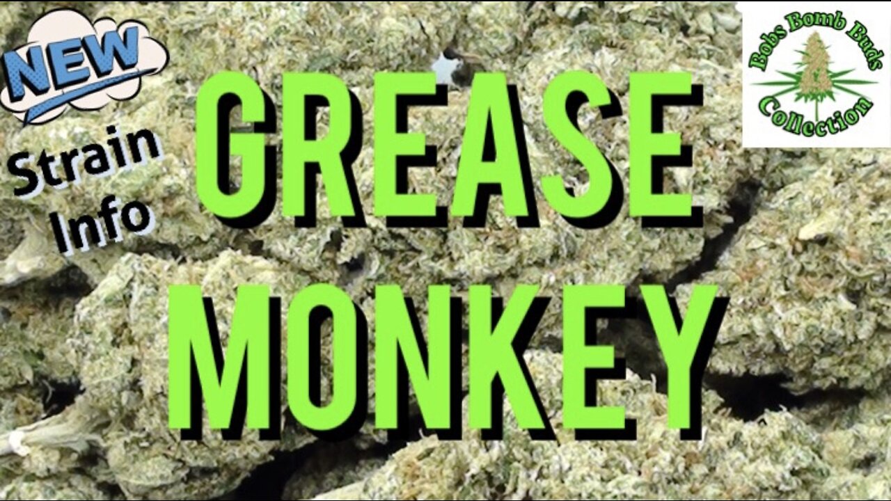 Grease Monkey