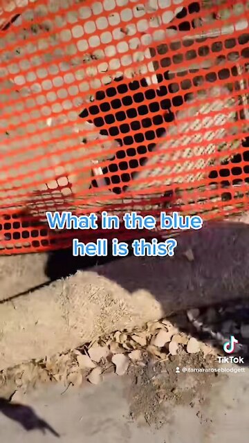 Road Fuckery of the Day 😲