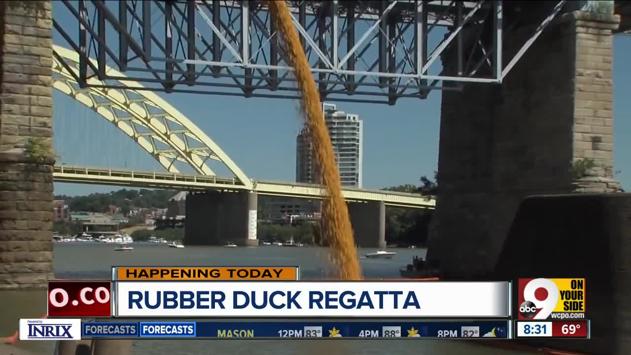 Milestone for Rubber Duck Regatta