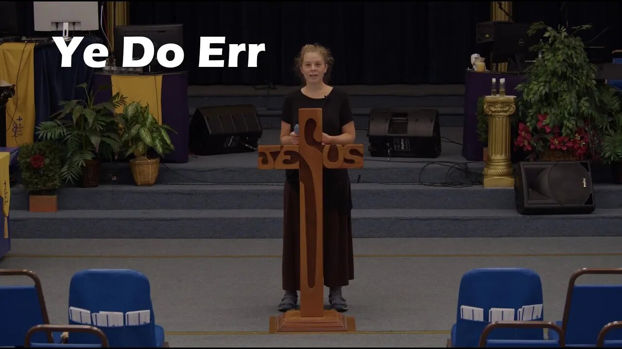 Ye Do Err by Stephanie J Yeager