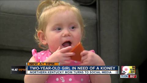 Two-year-old Lily needs a kidney