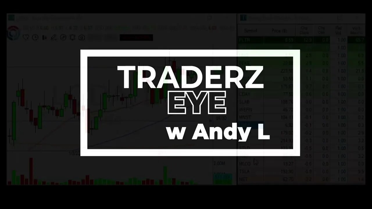 Trade Ideas Traderz Eye