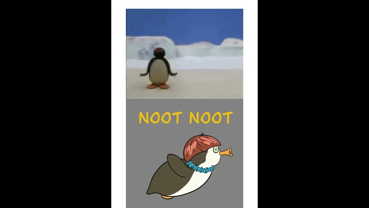 DESENHO PINGU COMPLETO