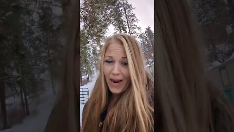 #homesteading #shorts