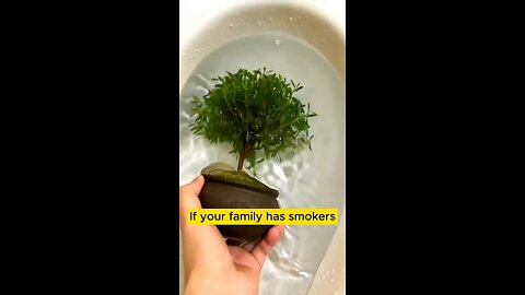 Very Healthy for Smokers😱