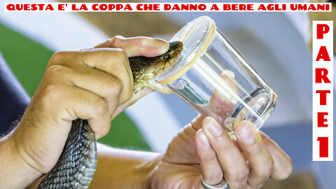 2022.04.26-Eliseo.Bonanno-COME I SERPENTI UCCIDONO GLI UMANI - PARTE 1 DI 2