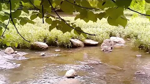 Sundayscape : Battelle Darby Creek Metro Park