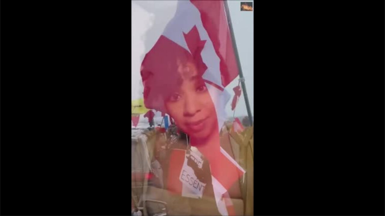 Best Freedom Convoy Video Yet