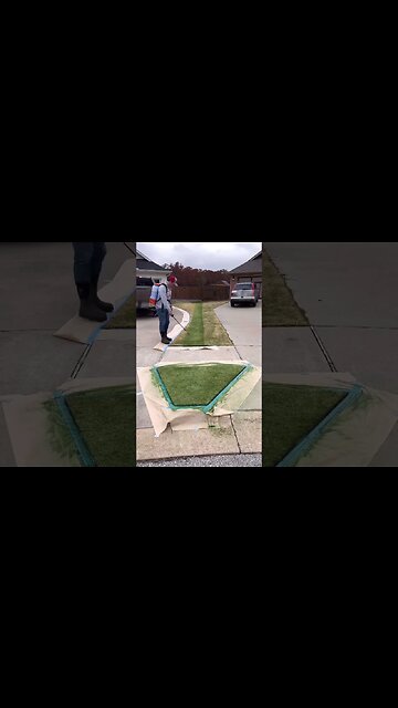 Painting My Half of the Lawn