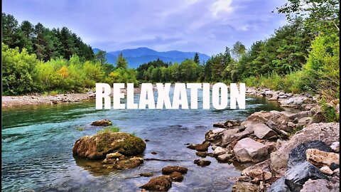 Relaxing water stream sounds | Gentle Stream Sounds for 30 minutes