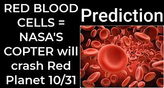 Prediction - RED BLOOD CELLS = NASA'S COPTER will crash RED PLANET Oct 31