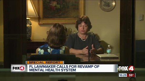 State lawmaker: Florida's mental health system needs total revamp | WFTX Investigative Report