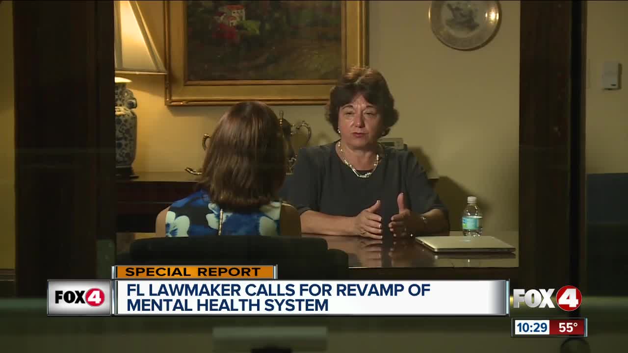 State lawmaker: Florida's mental health system needs total revamp | WFTX Investigative Report