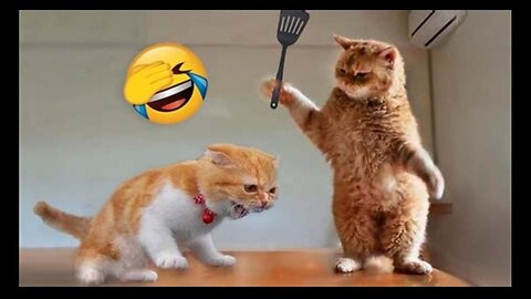 Funniest Animals 2023 😂 New Funny Cats and Dogs Videos 😻🐶