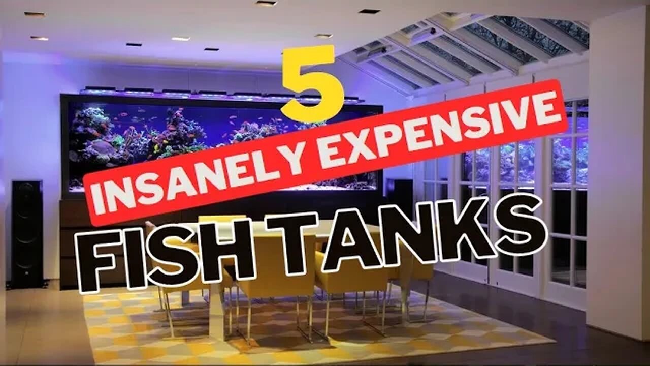 5 INSANELY EXPENSIVE Fish Tanks