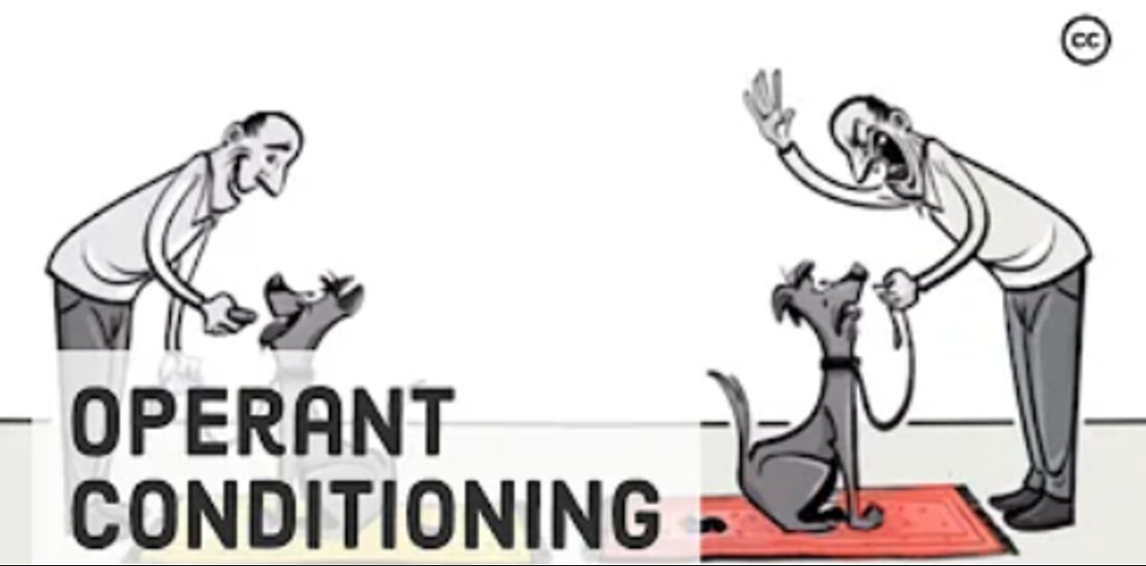 Skinner’s Operant Conditioning: Rewards & Punishments