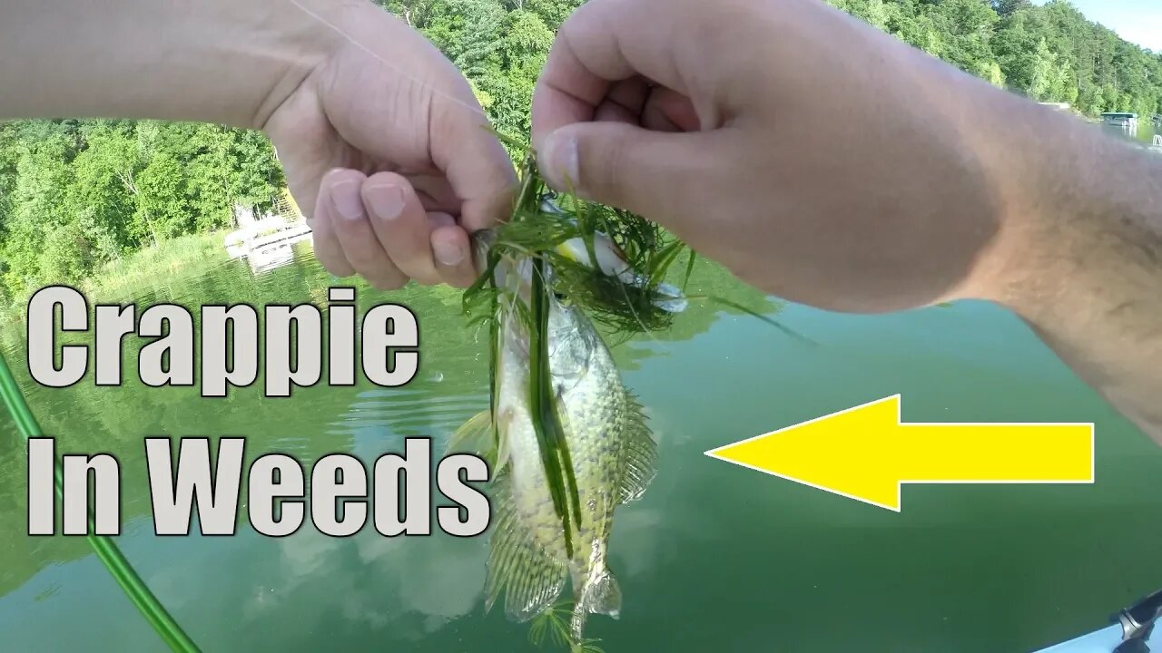 Trolling for Crappie in the Summer | How to Fish Weedlines