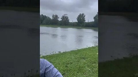 It Double Jumped TikTok brookelsm
