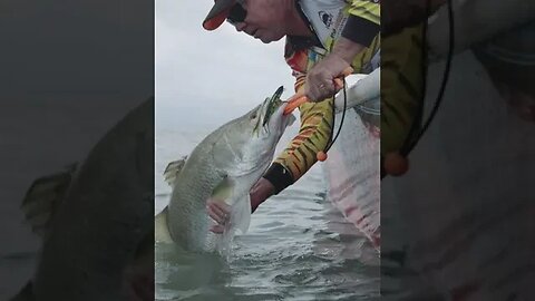 A Barra in 4 Casts