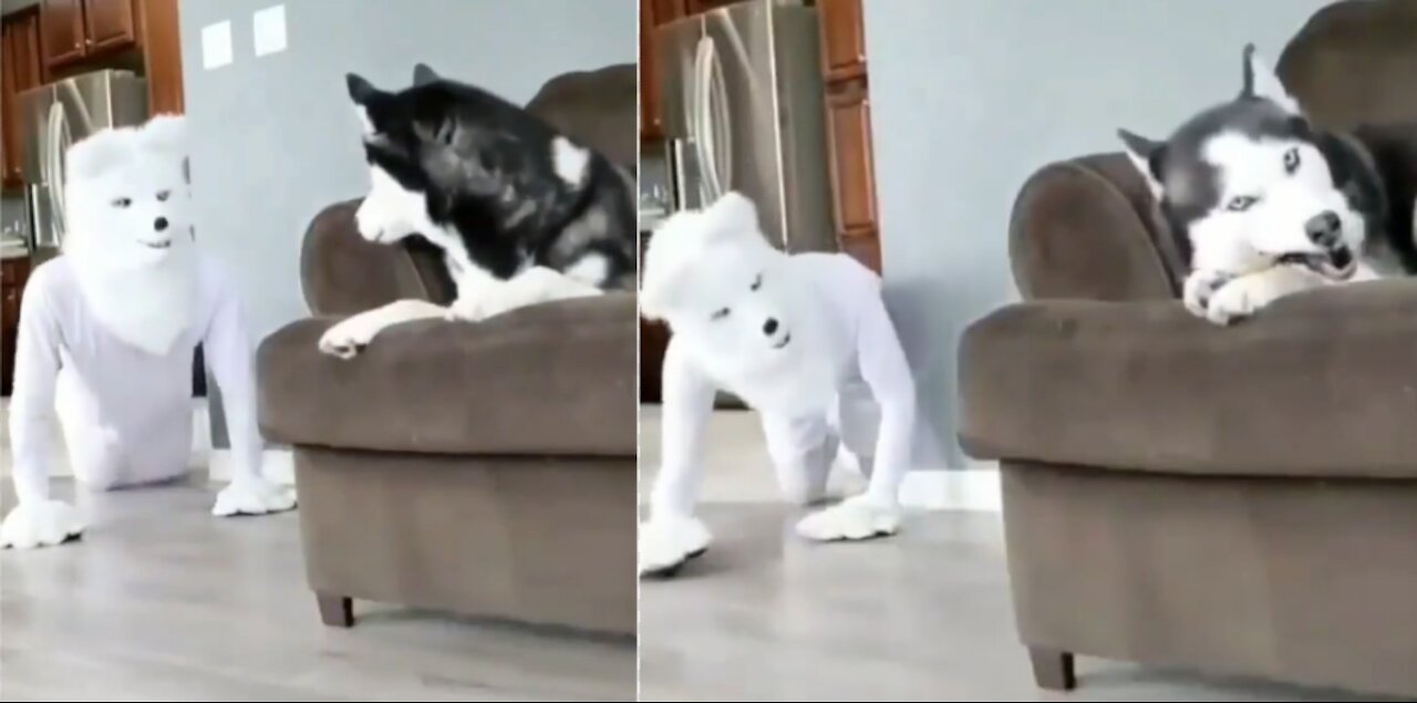 SCARING HIS DOG !! WATCH TILL THE END 😅