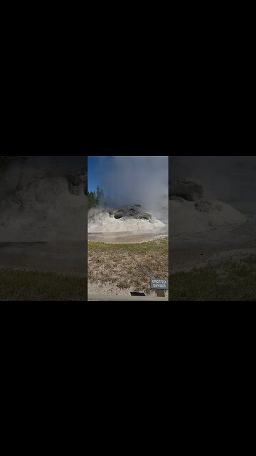 Grotto geyser in Yellowstone
