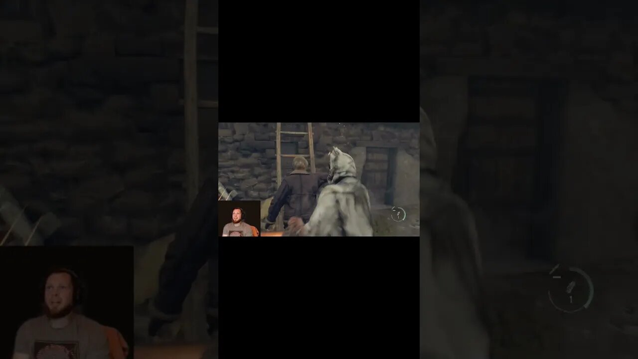 My life flashed before my eyes RE4 Remake