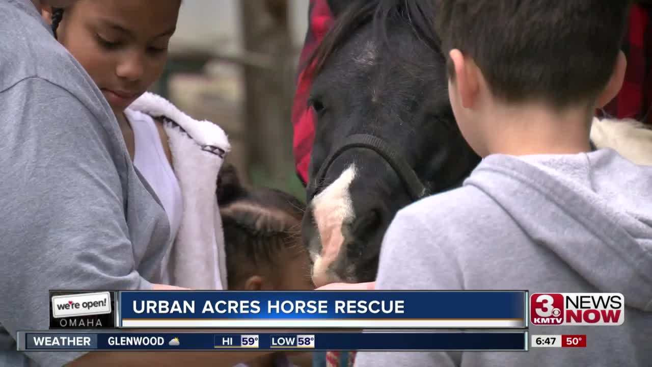 We're Open Omaha: Urban Acres Horse Rescue