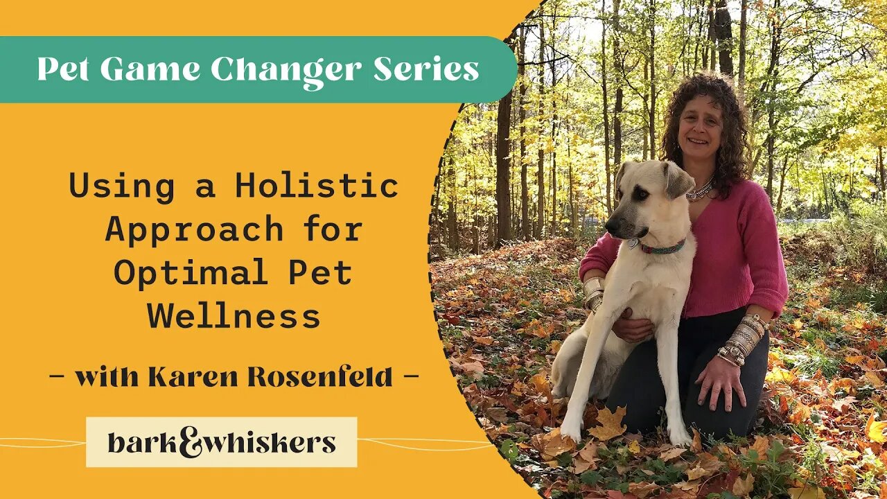 Using a Holistic Approach for Optimal Pet Wellness With Karen Rosenfeld