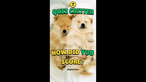 🐶Quiz Critter - How can you do? - Baby Animal Names #animals #short #quiz