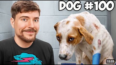 I Saved 100 Dogs From Dying