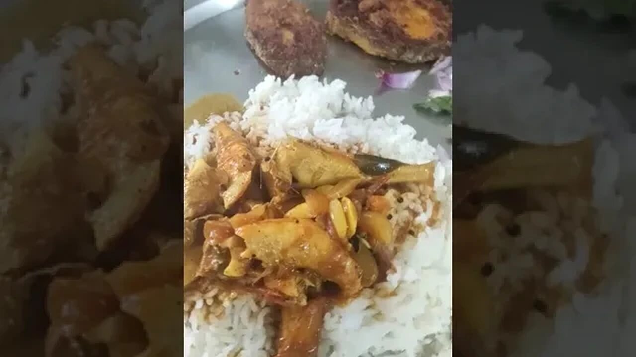 Best Lunch||#shorts #youtubeshorts #shortsfeed #shortsvideo #viral #trending #viralvideo@TowerTreee