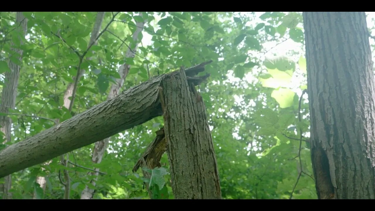 UCS Episode 46 - Creek Sighting Update, Six Nations Of The Grand River