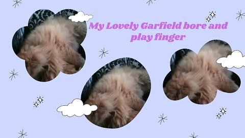 My Cute Garfield feel bore and play with fingers