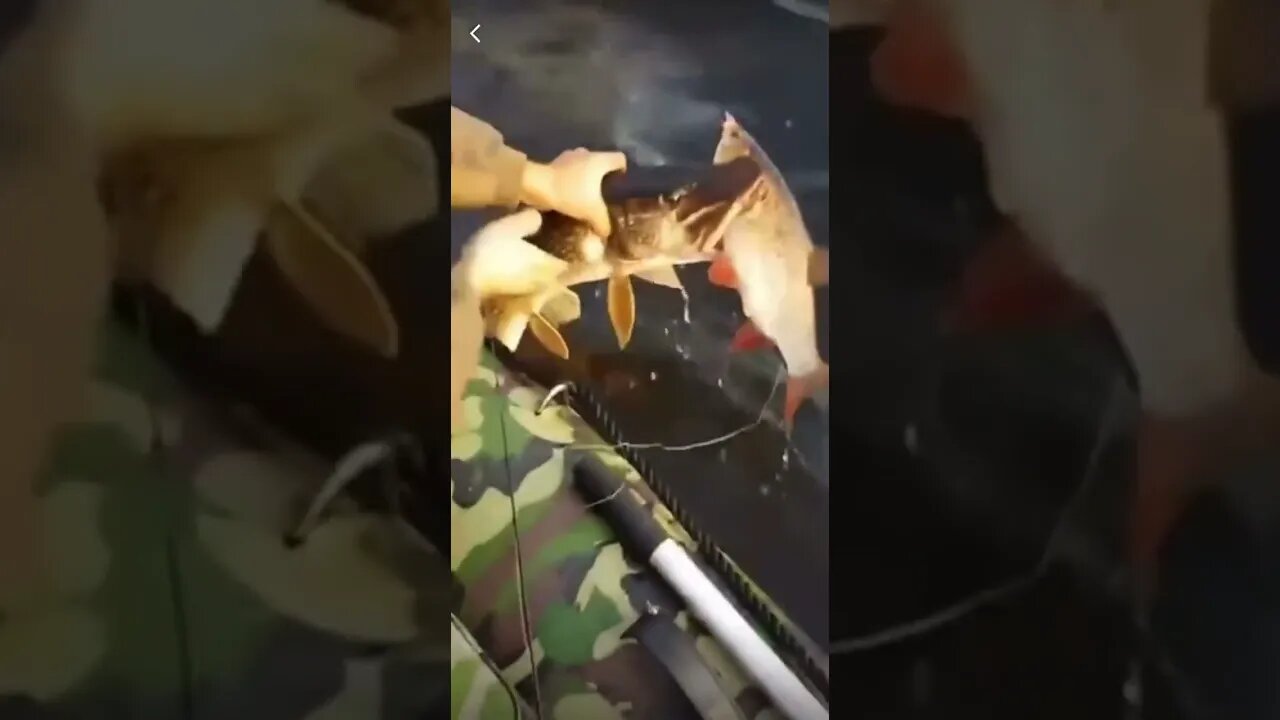 A double catch. #trending #viral