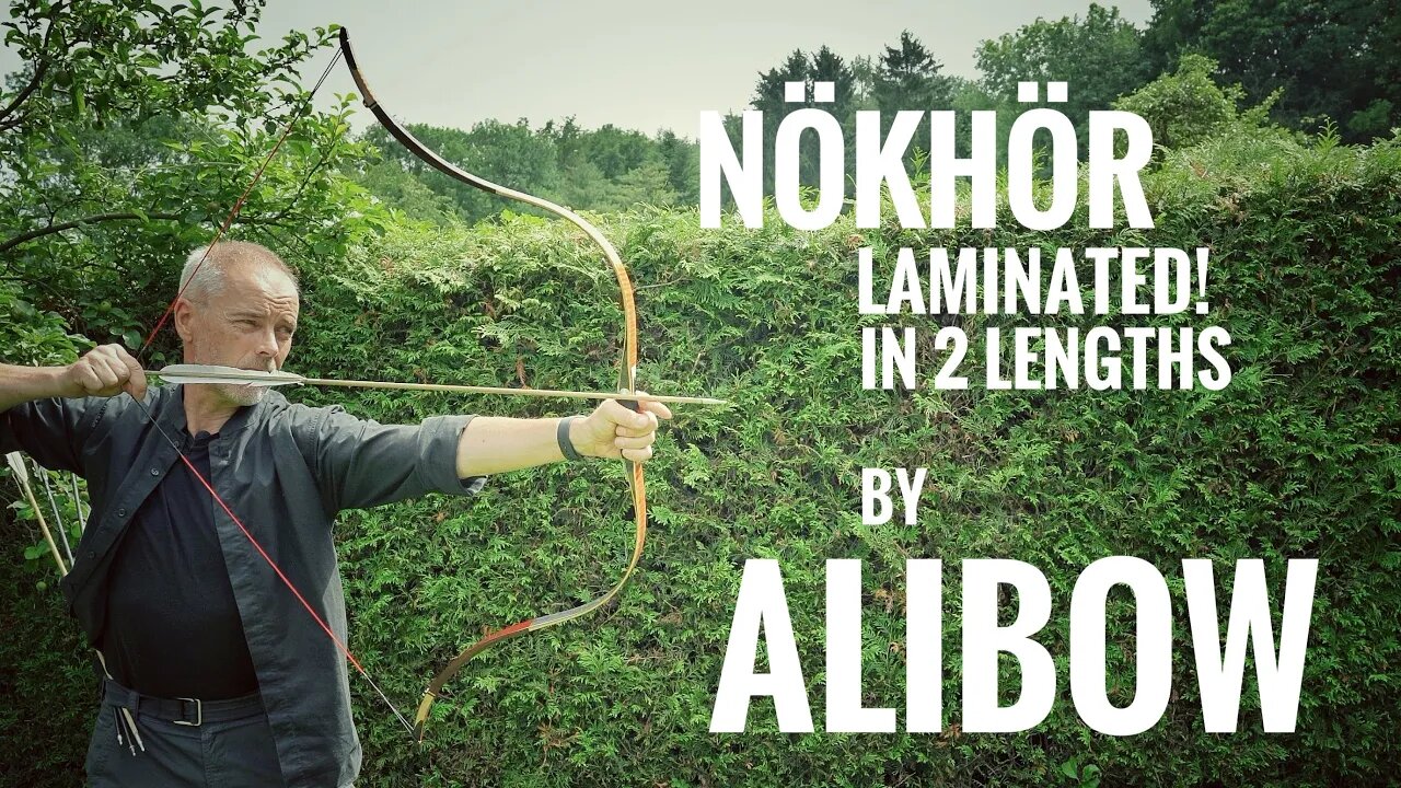 Nökhör laminated in 2 sizes by Alibow - Review